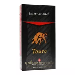 Touro International